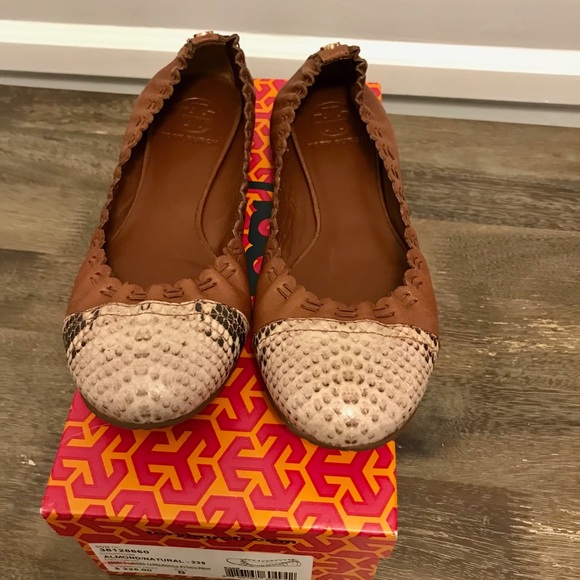 Tory Burch Shoes Nwb Tory Burch Abbey2 Ballet Flat Size 8 Poshmark